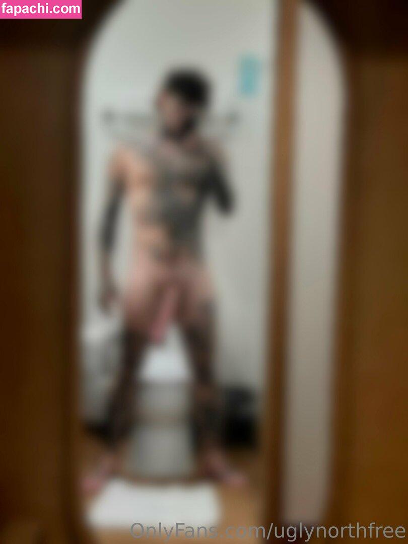 uglynorthfree leaked nude photo #0015 from OnlyFans/Patreon