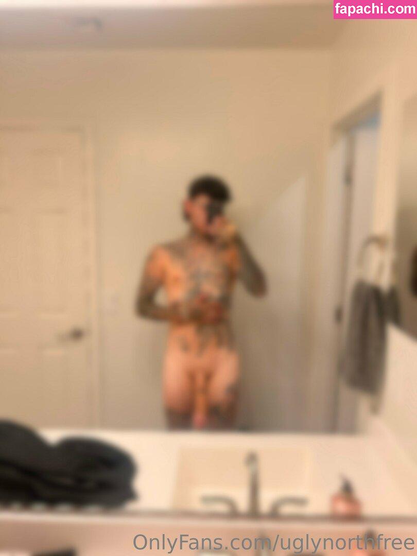 uglynorthfree leaked nude photo #0026 from OnlyFans/Patreon