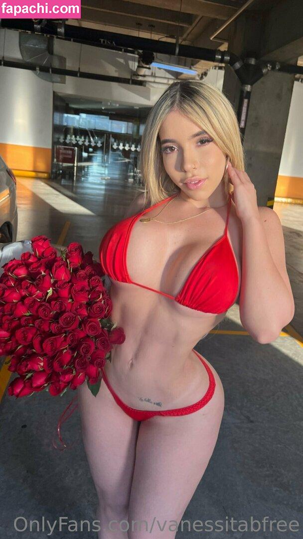 vanessitabfree / vanessitaoficial leaked nude photo #0158 from OnlyFans/Patreon