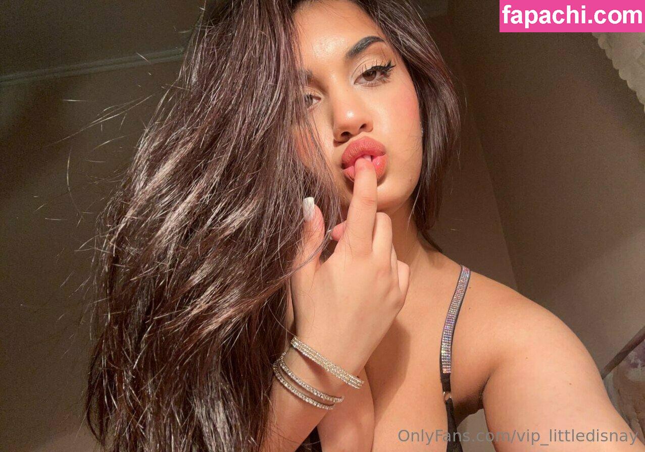 vip_littledisnay / _thenellygirl leaked nude photo #0128 from OnlyFans/Patreon