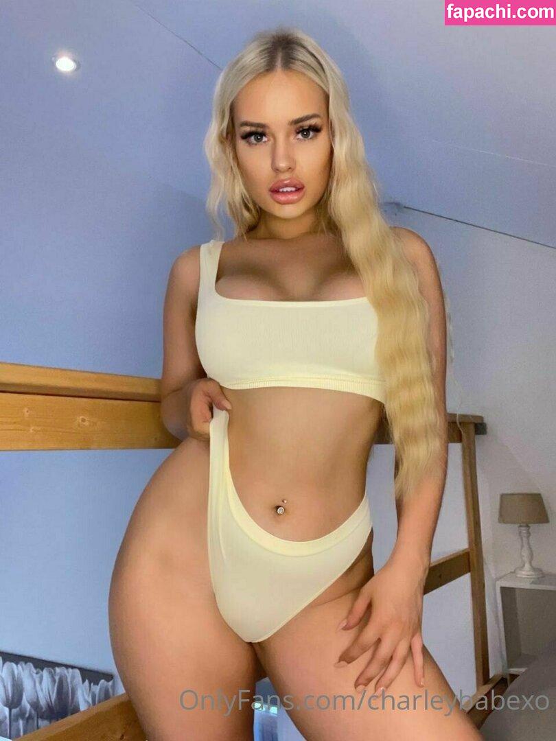 viplaurenxx / Charleybabe / Laurenedgexx / VIPCharley / laurenvxx leaked nude photo #0093 from OnlyFans/Patreon