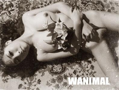 Wanimal Models leaked media #0159