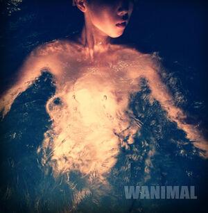 Wanimal Models leaked media #0175