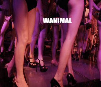 Wanimal Models leaked media #0249