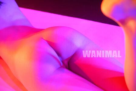 Wanimal Models leaked media #0254