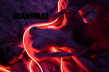 Wanimal Models leaked media #0355