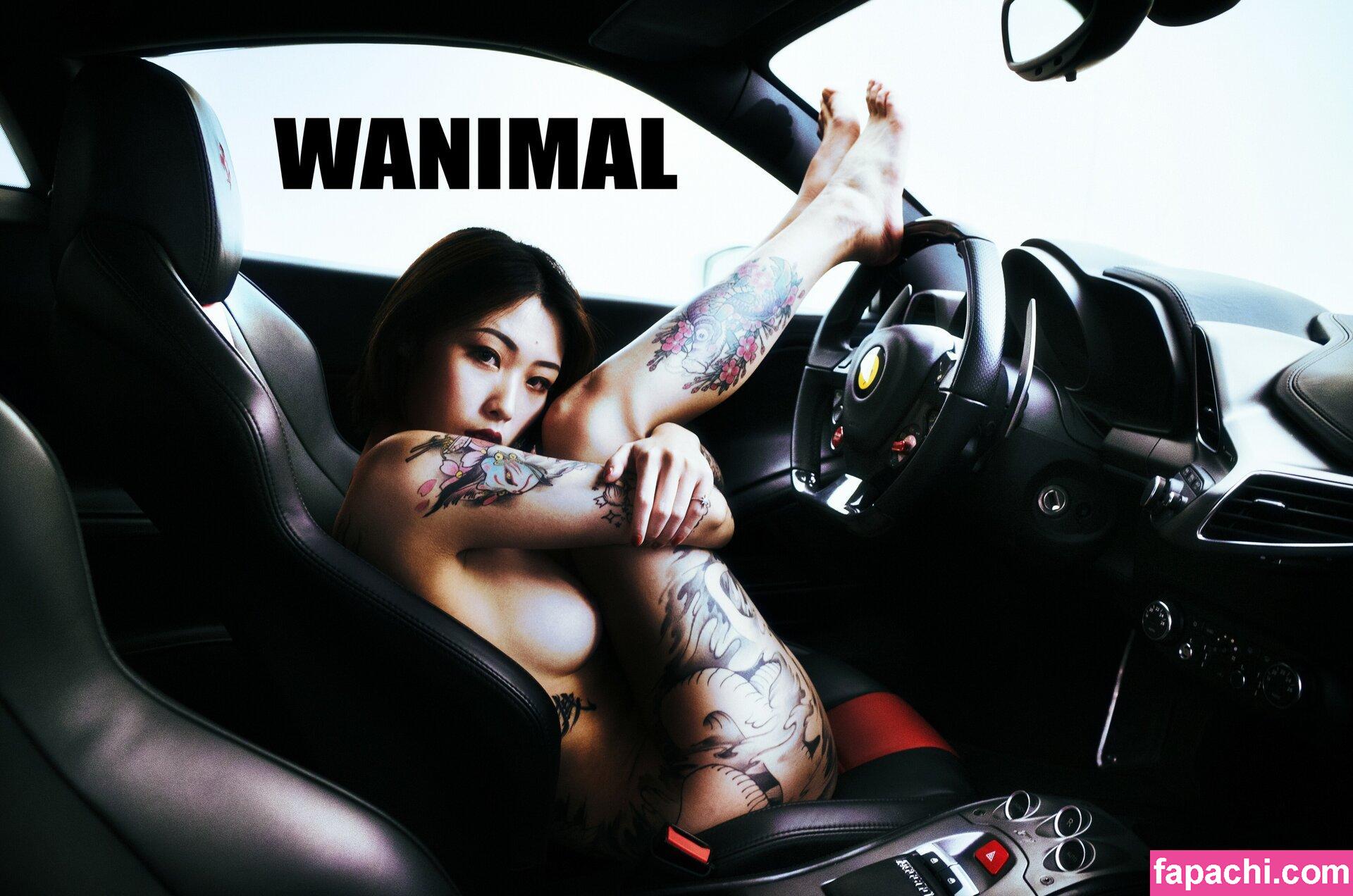 Wanimal Models / wanimal912 leaked nude photo #0025 from OnlyFans/Patreon