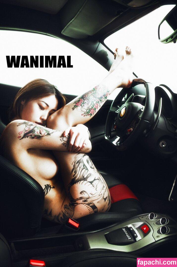 Wanimal Models / wanimal912 leaked nude photo #0042 from OnlyFans/Patreon