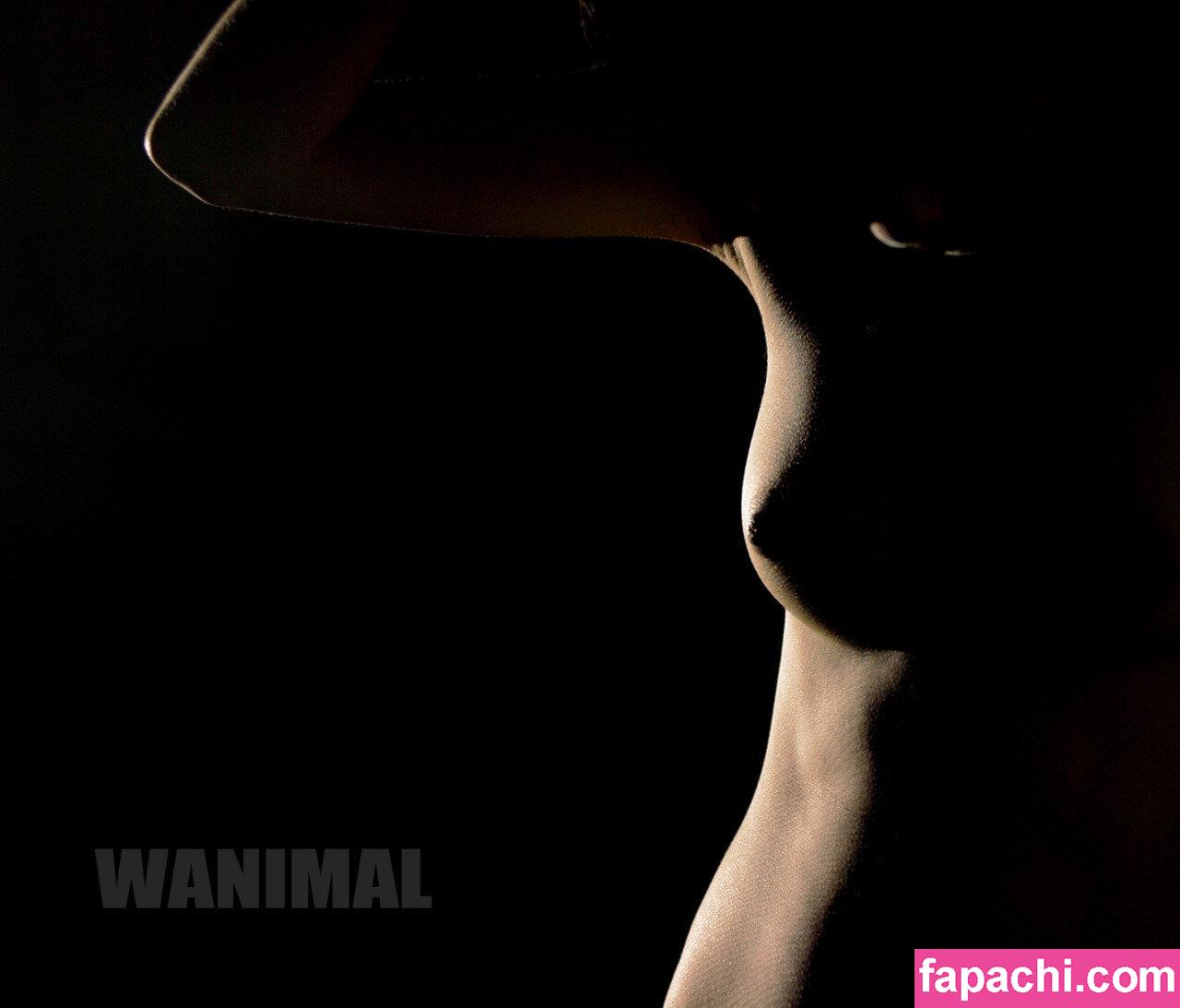 Wanimal Models / wanimal912 leaked nude photo #0154 from OnlyFans/Patreon