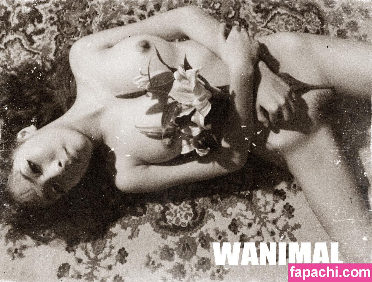 Wanimal Models / wanimal912 leaked nude photo #0159 from OnlyFans/Patreon