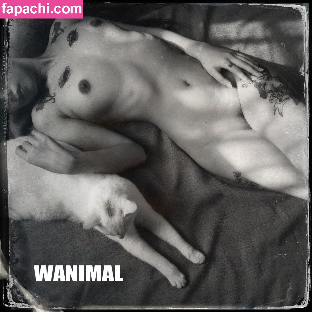 Wanimal Models / wanimal912 leaked nude photo #0184 from OnlyFans/Patreon