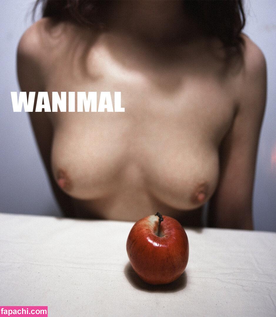 Wanimal Models / wanimal912 leaked nude photo #0202 from OnlyFans/Patreon