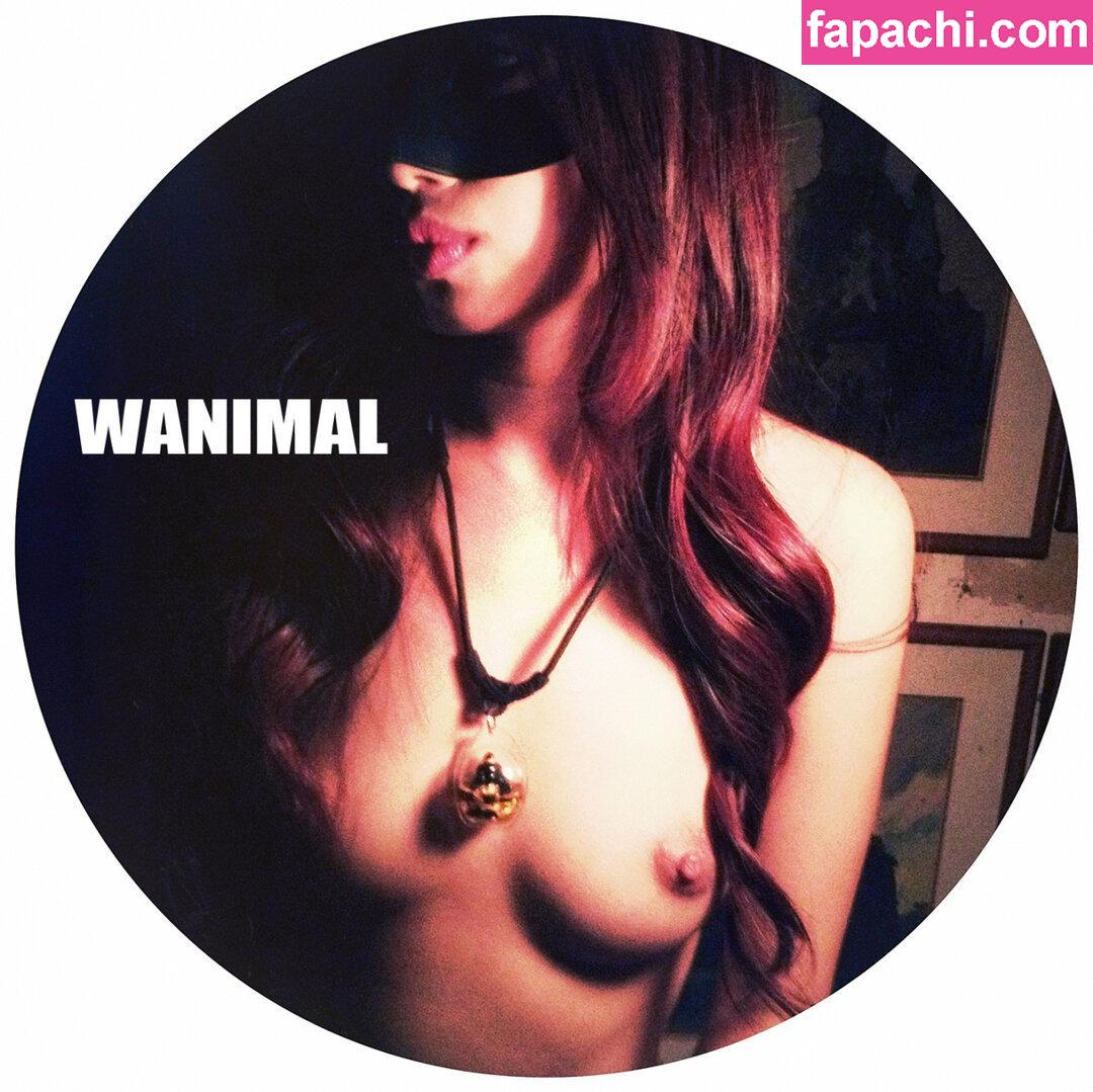 Wanimal Models / wanimal912 leaked nude photo #0221 from OnlyFans/Patreon