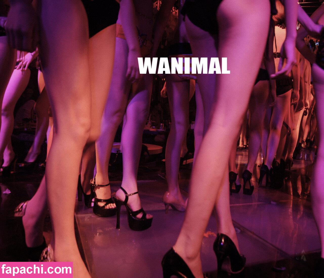 Wanimal Models / wanimal912 leaked nude photo #0249 from OnlyFans/Patreon