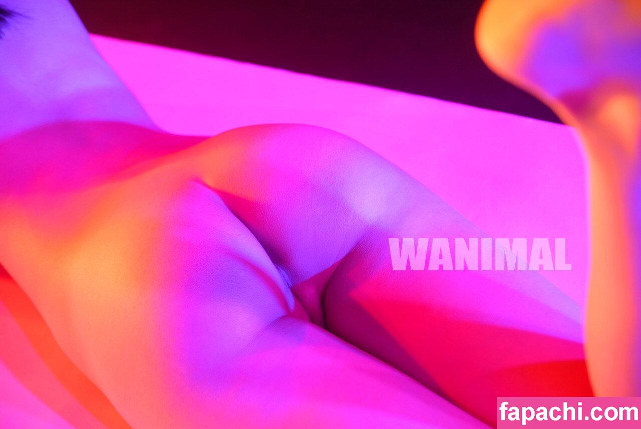 Wanimal Models / wanimal912 leaked nude photo #0254 from OnlyFans/Patreon