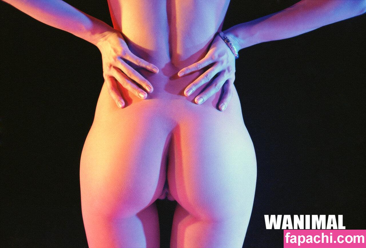 Wanimal Models / wanimal912 leaked nude photo #0338 from OnlyFans/Patreon