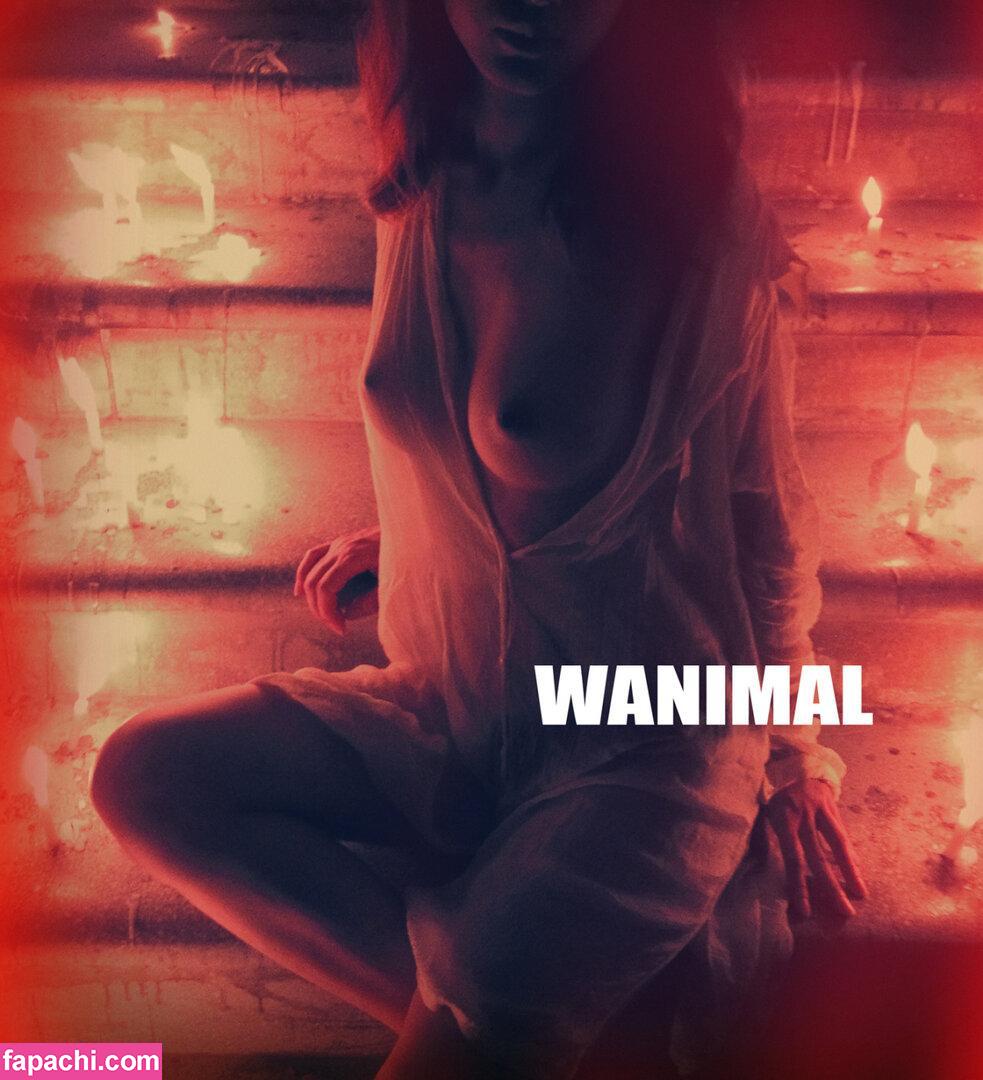Wanimal Models / wanimal912 leaked nude photo #0371 from OnlyFans/Patreon