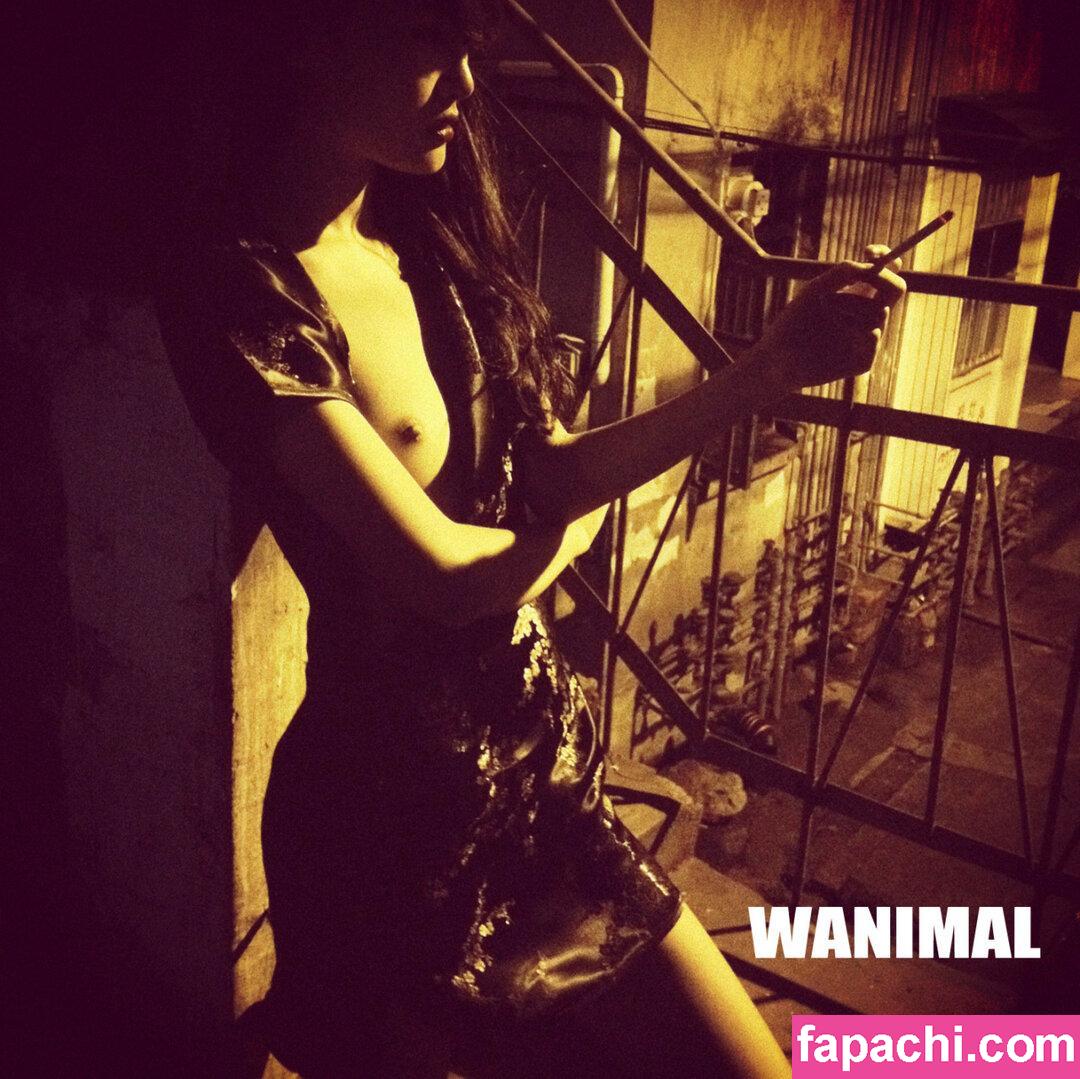 Wanimal Models / wanimal912 leaked nude photo #0492 from OnlyFans/Patreon