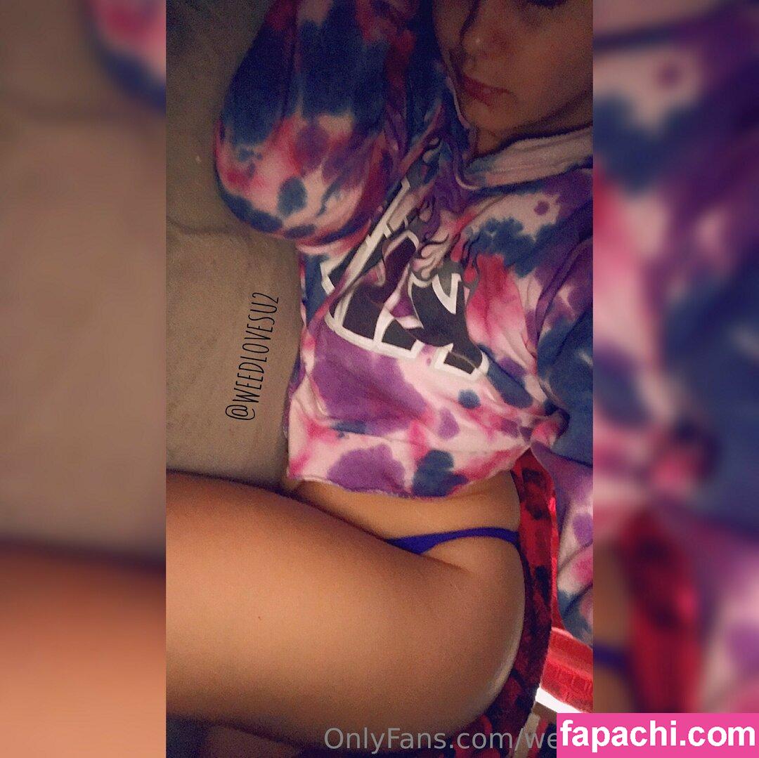 weedlovesuxfree leaked nude photo #0019 from OnlyFans/Patreon