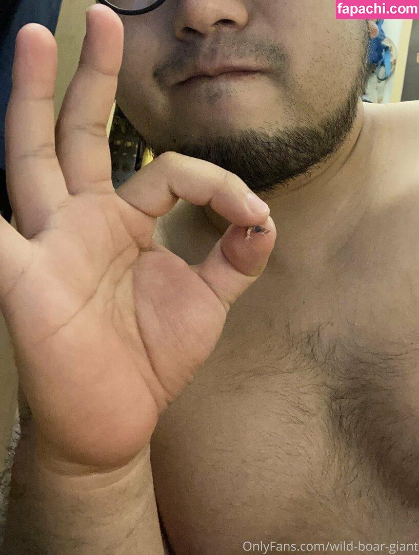 wild-boar-giant leaked nude photo #0035 from OnlyFans/Patreon