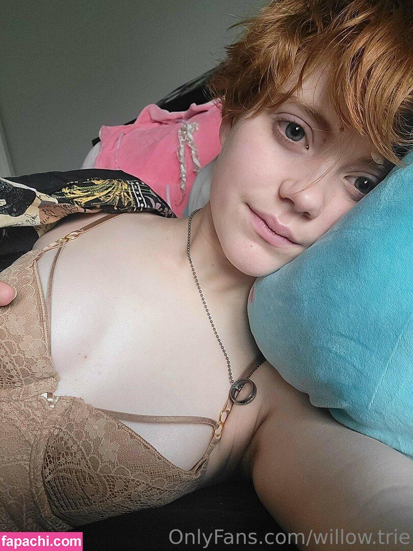 Willow.Trie / user leaked nude photo #0140 from OnlyFans/Patreon