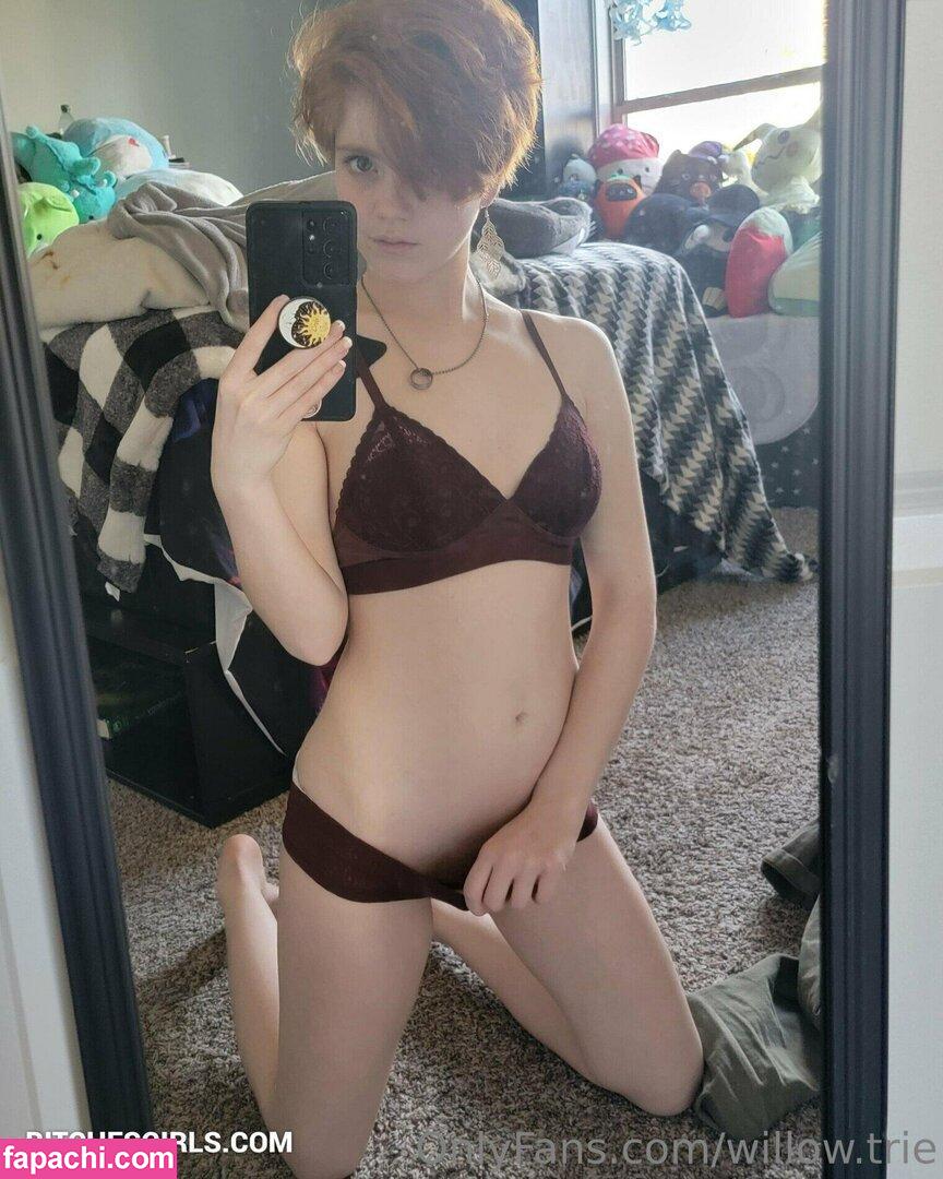 Willow.Trie / user leaked nude photo #0155 from OnlyFans/Patreon