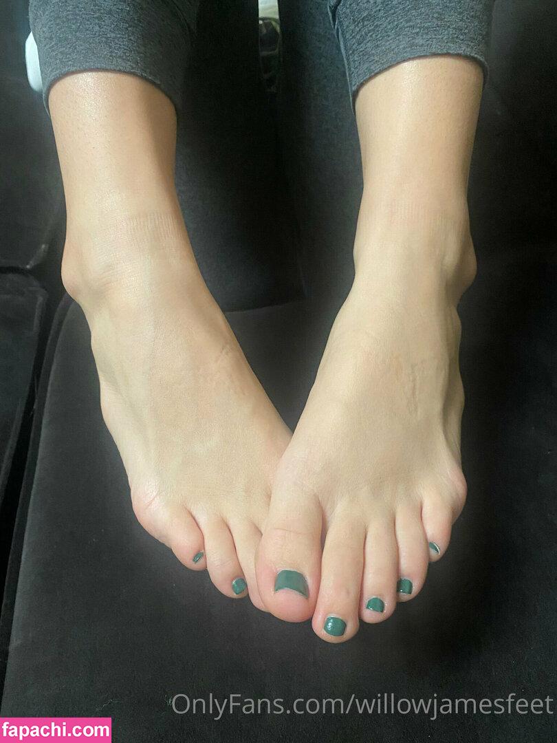 willowjamesfeet leaked nude photo #0005 from OnlyFans/Patreon