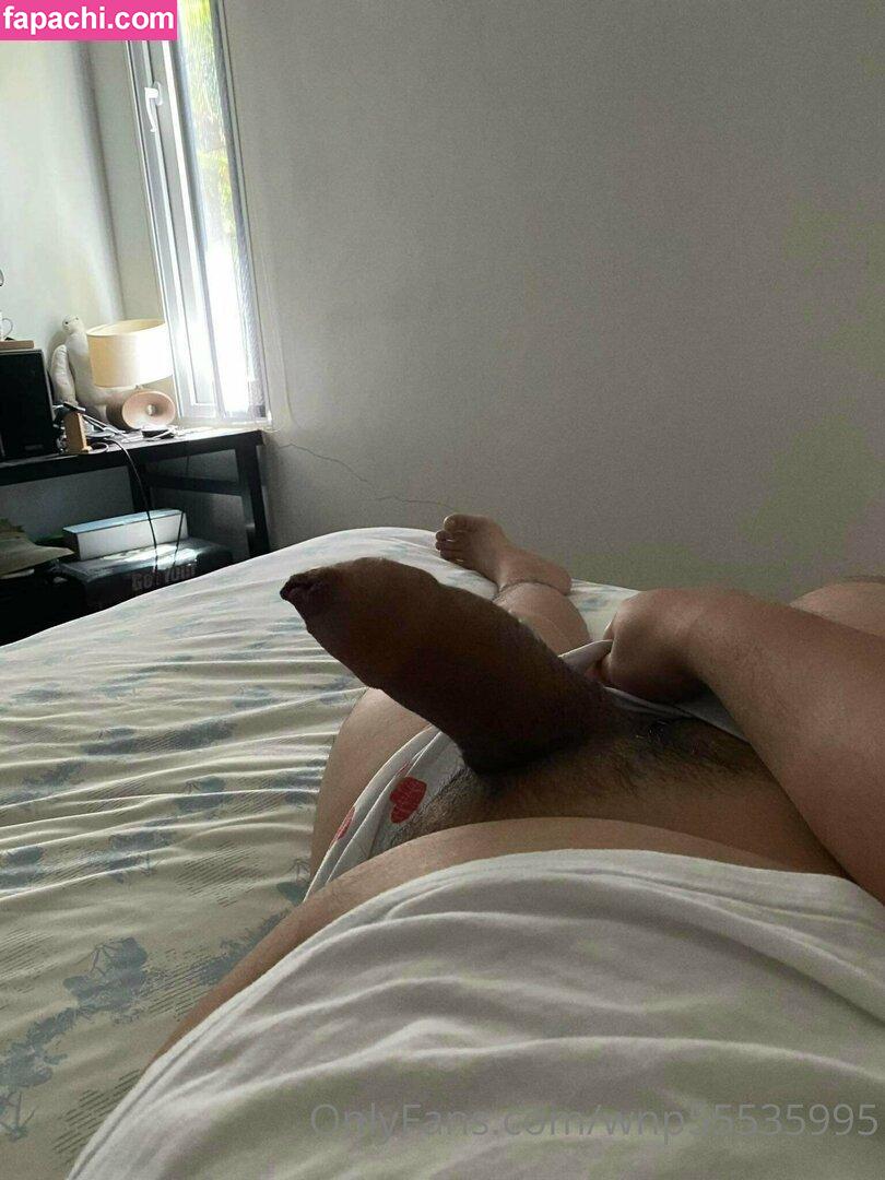 wnp55535995 / awkwardturtlesaywhat89 leaked nude photo #0084 from OnlyFans/Patreon