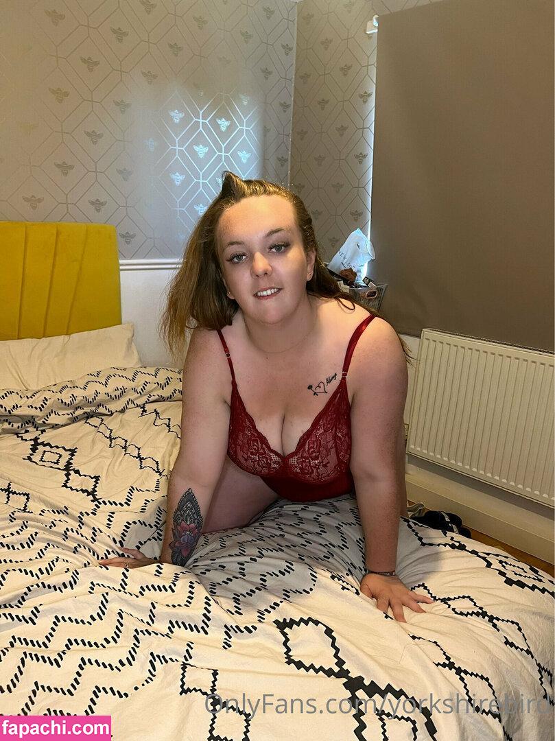 yorkshirebird leaked nude photo #0001 from OnlyFans/Patreon