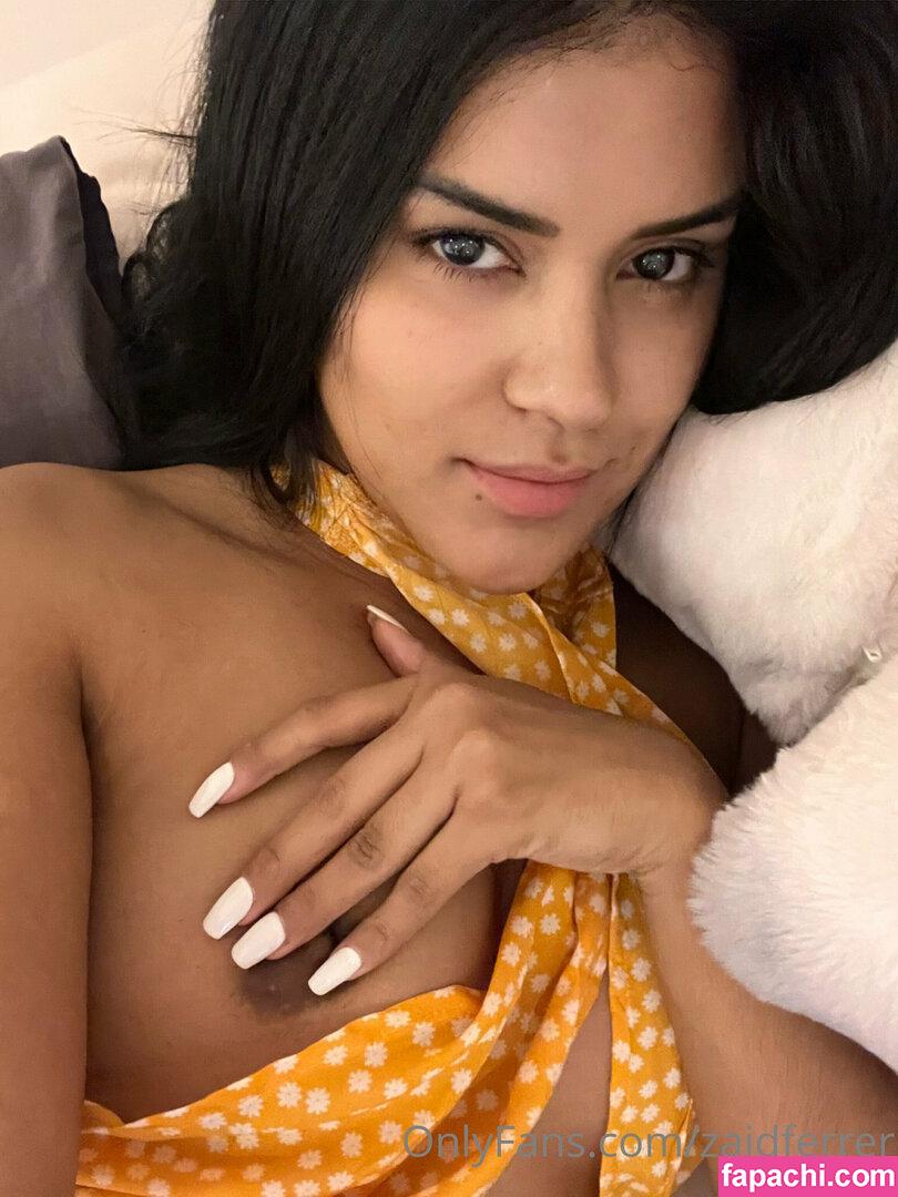 zaidferrer leaked nude photo #0095 from OnlyFans/Patreon
