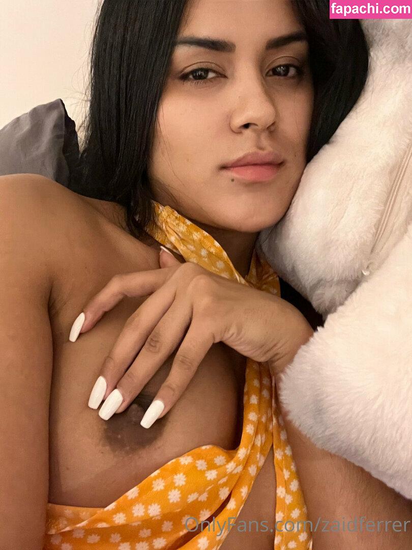 zaidferrer leaked nude photo #0096 from OnlyFans/Patreon